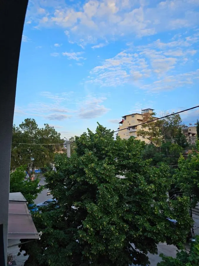 סרנדה Vila 31 0*,