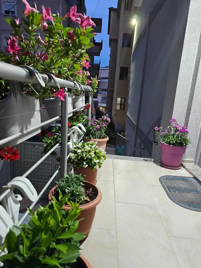סרנדה Vila 31 0*,  אלבניה
